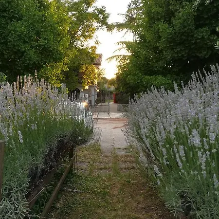 Falco Bianco 3*