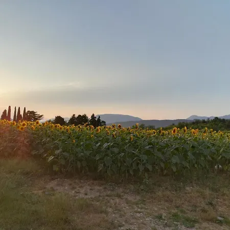 Falco Bianco Guest house San Daniele del Friuli