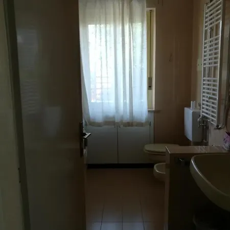 Falco Bianco San Daniele del Friuli