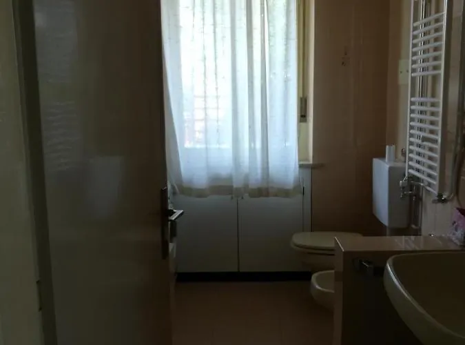 Falco Bianco San Daniele del Friuli